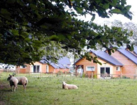 La Ferme Pillet Villa Berville-en-Caux Buitenkant foto
